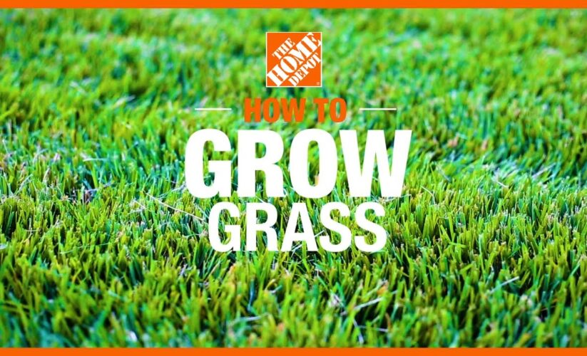 Smart Ways to Grow Grass in 2025: Essential Tips for a Lush Lawn