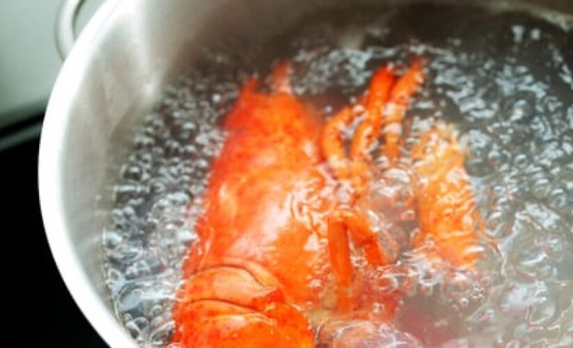 Best 5 Methods for How Long to Boil Lobster and Achieve Perfectly Rolled Meals in 2025