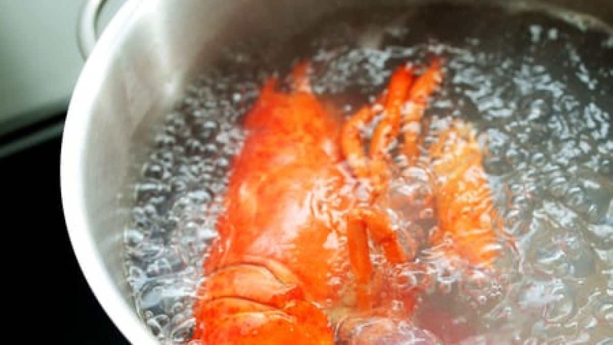 Best 5 Methods for How Long to Boil Lobster and Achieve Perfectly Rolled Meals in 2025