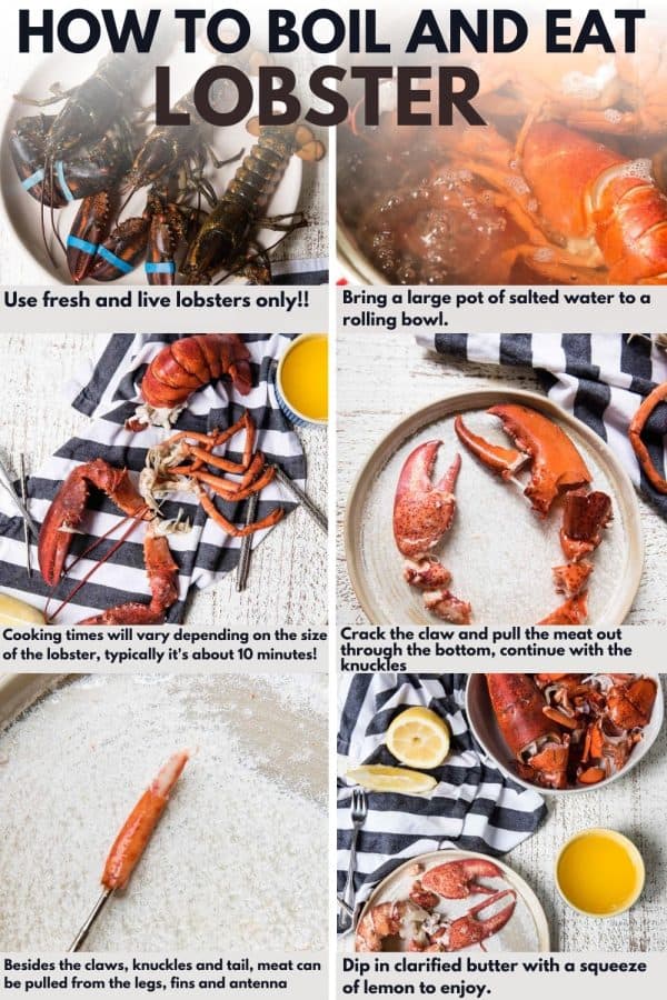 Delicious Lobster Meal