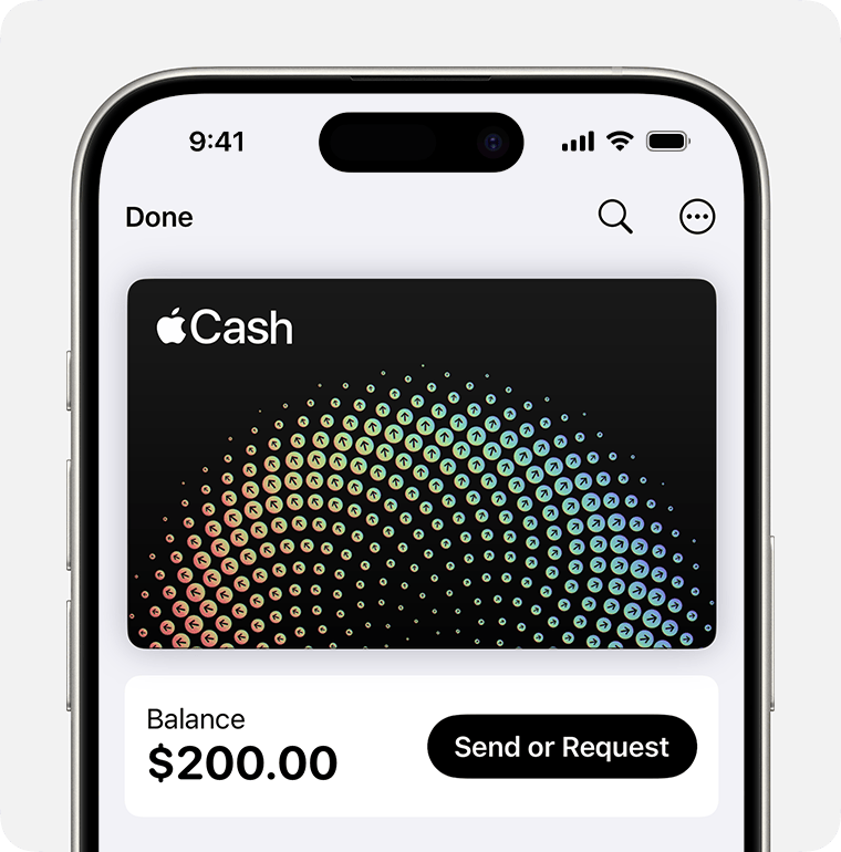 Apple Pay Usability Example