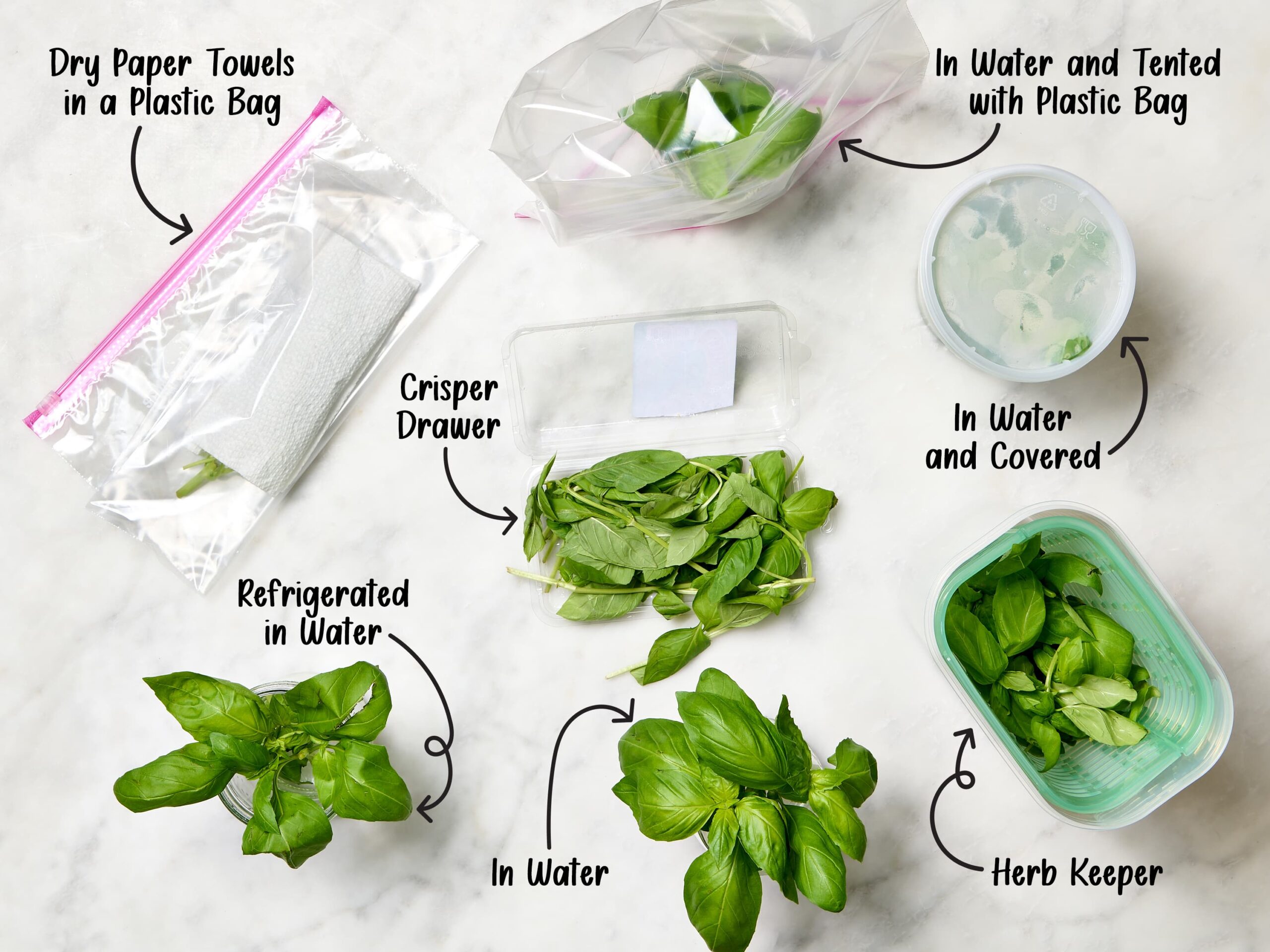 Smart Ways to Store Fresh Basil for Longer Use in 2025: Discover Proven Techniques