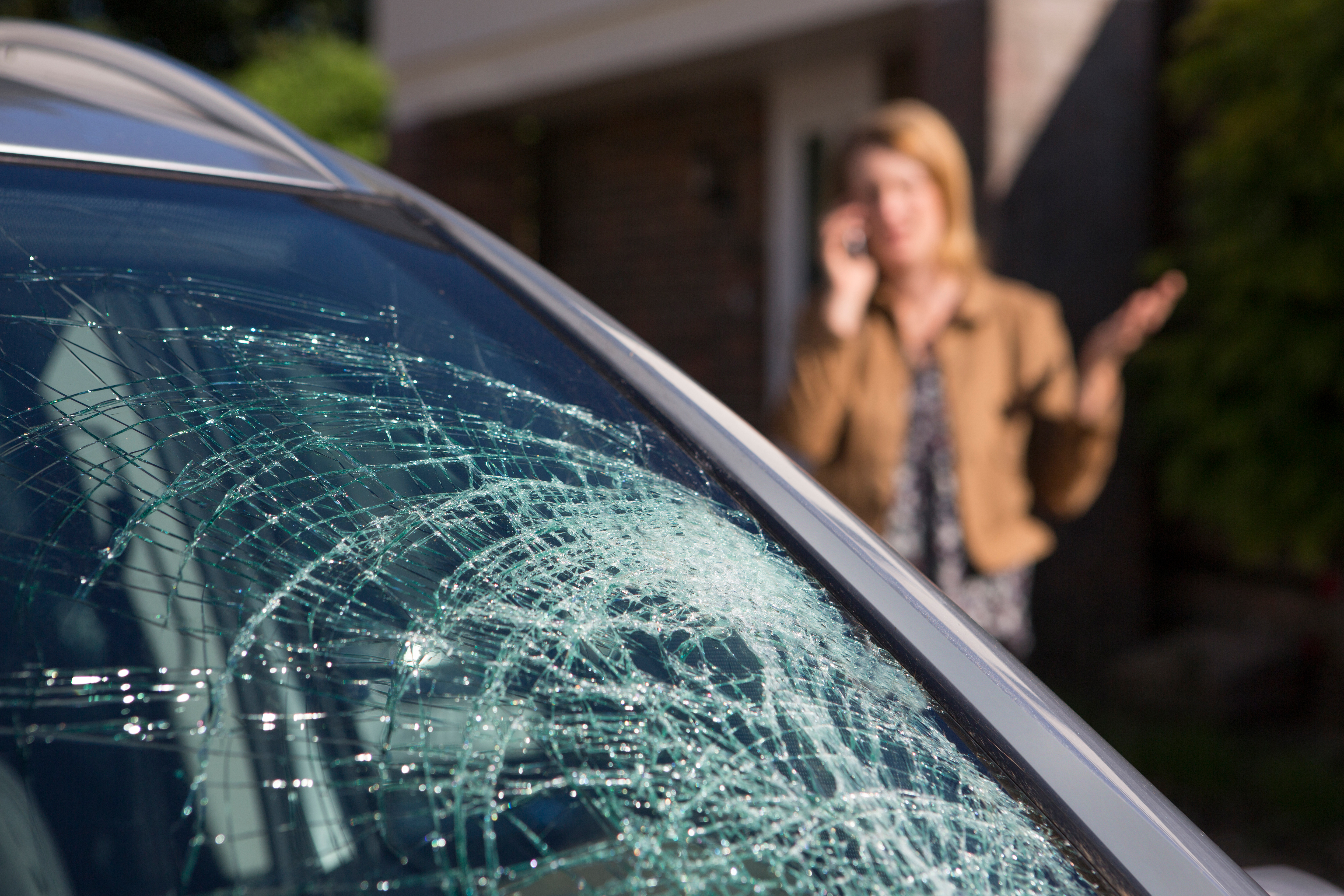 Windshield Replacement Process Image 1