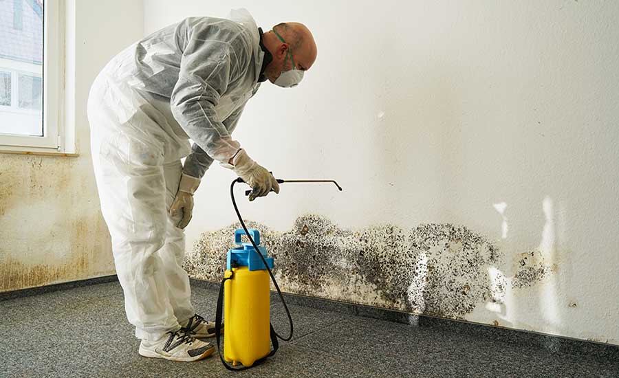 Top 5 Effective Methods to Get Rid of Mold on Walls in 2025: Practical Solutions to Ensure a Clean Home