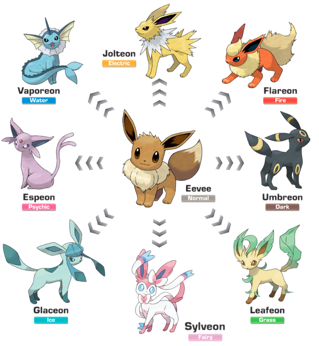 Eevee Evolution Visual Guide